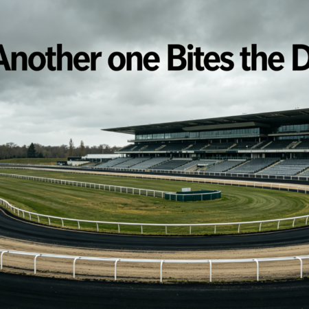 🏇 CHELMSFORD IS GOING THE SAME WAY AS FOLKESTONE , AND NOBODY SEEMS TO CARE