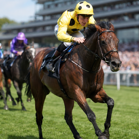 Bow Echo Retires Unbeaten: Racing Is Left Wondering How Good He Might Have Become